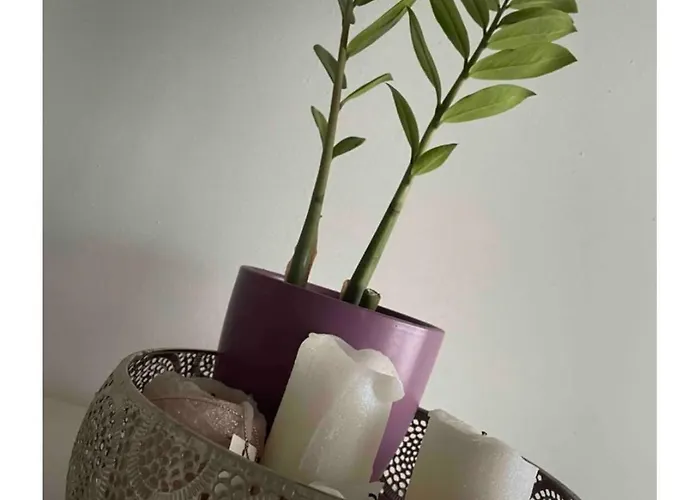 Apartment Toptravel-lkw Parkplatz *